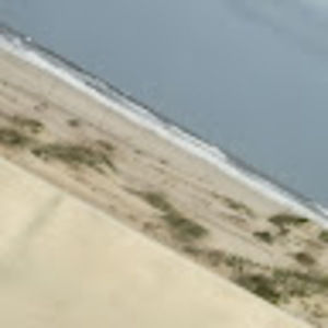 Meet your Posher, Joan